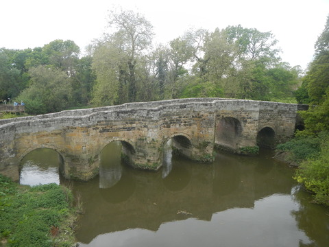 DSCN4653