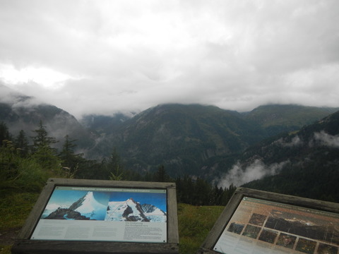 DSCN0829