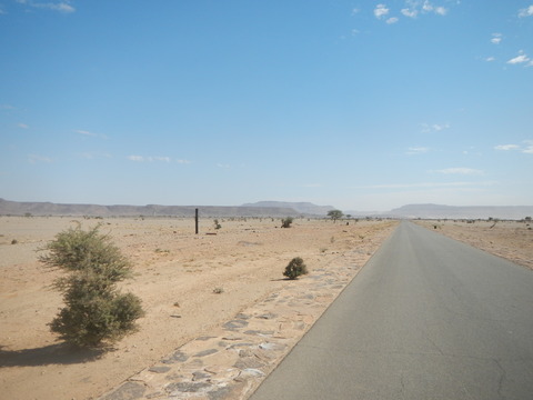 DSCN1334