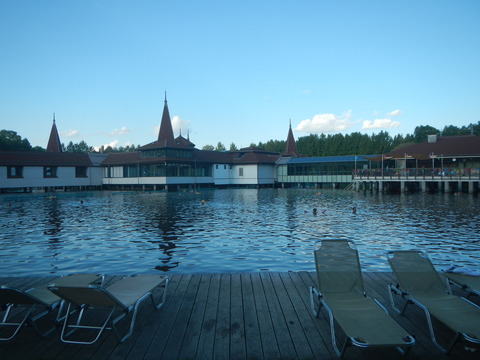 DSCN2239