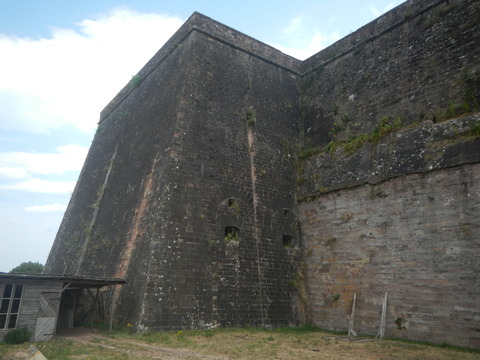 DSCN0990