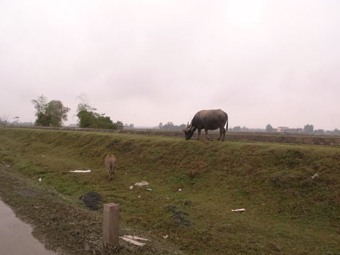 RIMG0136 1