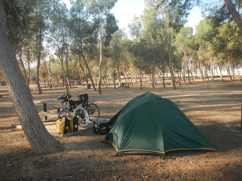 DSCN8972