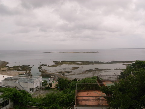 RIMG0011 2