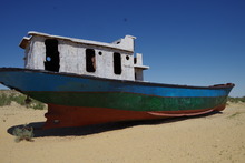IMGP9833