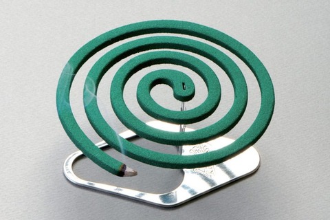 sirabee20210604katorisenkou1-768x512