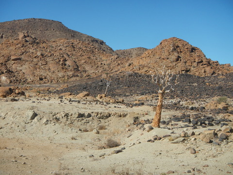 DSCN5583