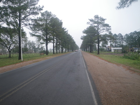 IMGP3266
