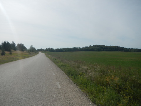 DSCN7343