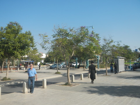 DSCN8975