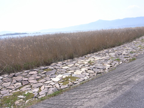 R0045191
