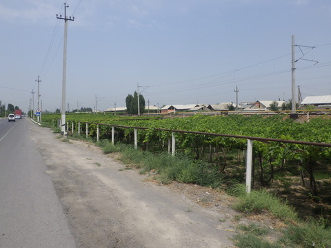RIMG2904