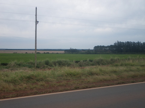IMGP3353
