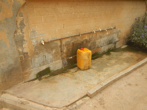 DSCN3401