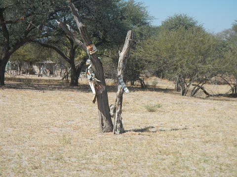 DSCN4758
