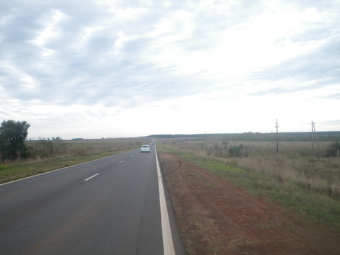 IMGP3351