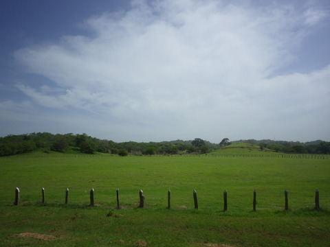 RIMG5587