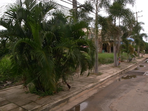 RIMG0067