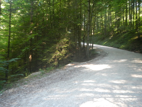 DSCN0531