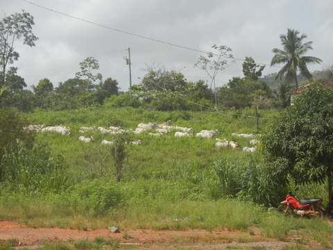 DSCN3548