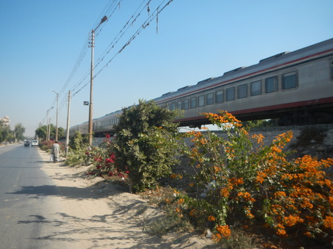 DSCN9692