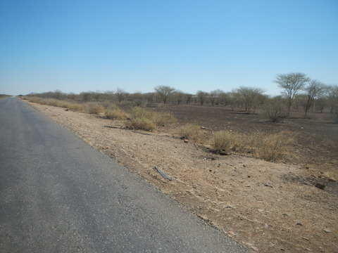 DSCN0094