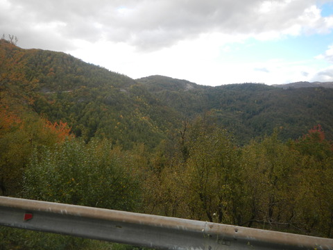 DSCN3410
