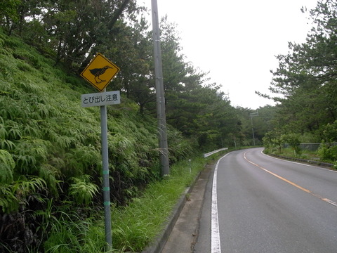 RIMG0012