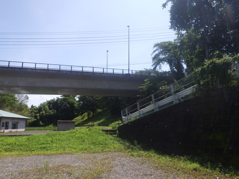RIMG9321