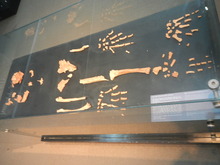 DSCN0507