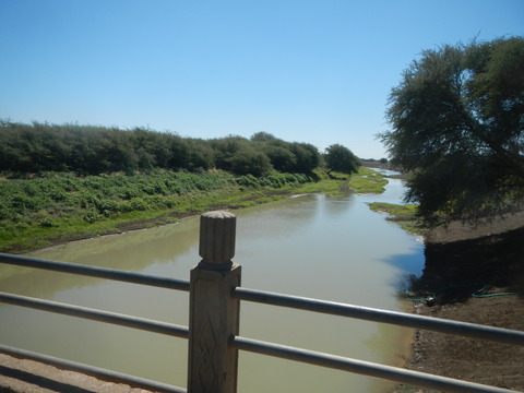 DSCN0084