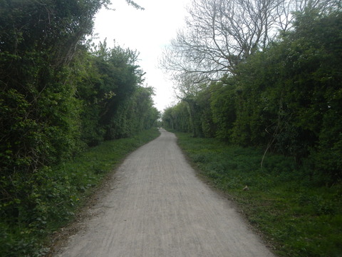 DSCN4642