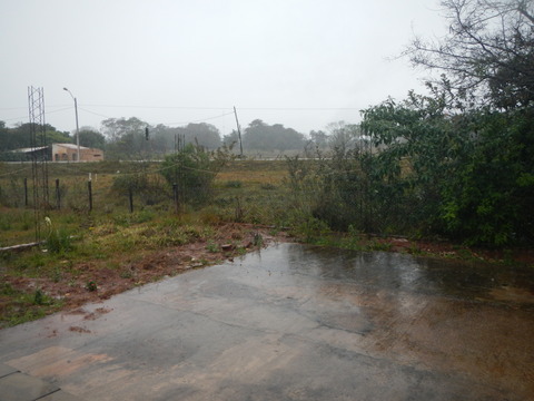 DSCN0361