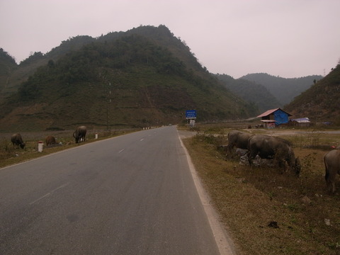 RIMG0133