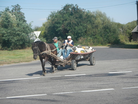 DSCN7761