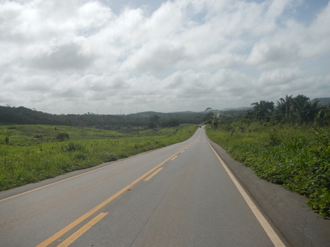 DSCN3546