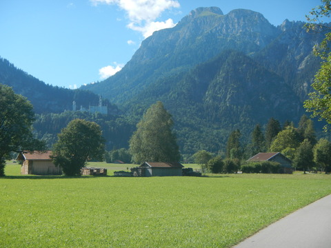 DSCN0529