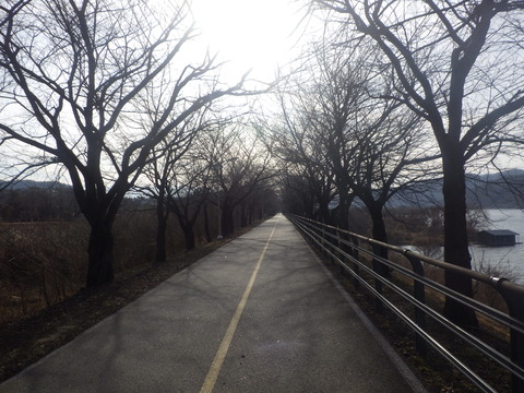RIMG7363