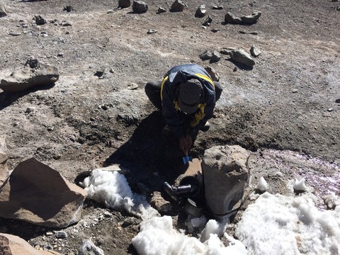 C559F81F-4193-4EE1-A7A5-4A07D3C24732