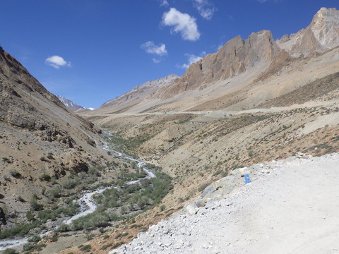 RIMG4974