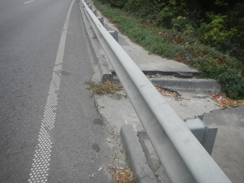 DSCN7975
