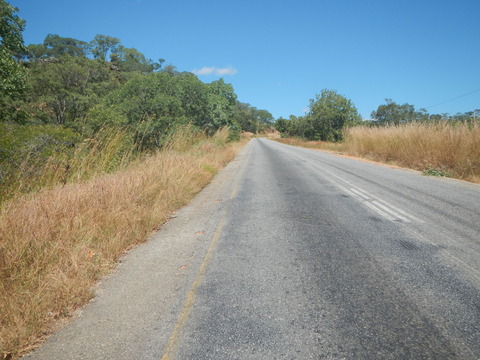 DSCN4223