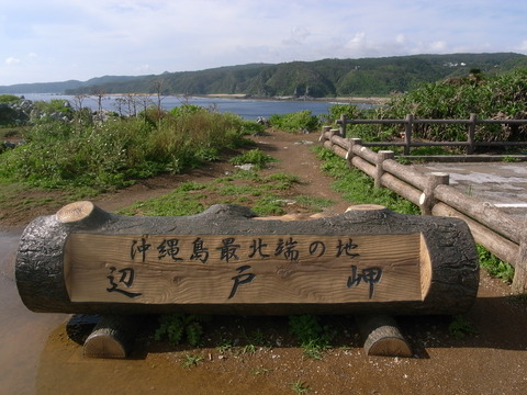 RIMG0009