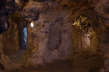 IMGP9574