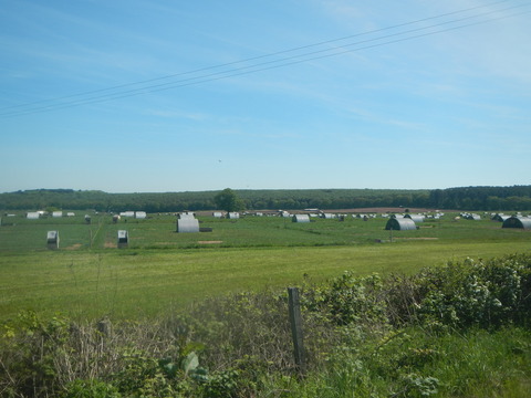 DSCN5068