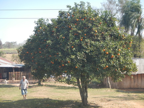 DSCN0330