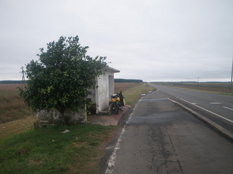 IMGP3318