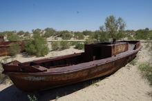 IMGP9816