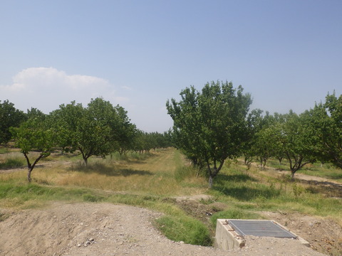 RIMG2938