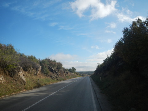 DSCN3507